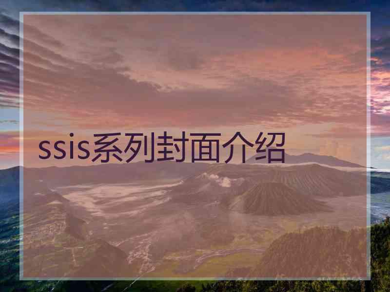 ssis系列封面介绍