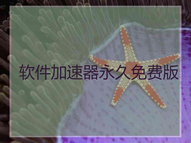 软件加速器永久免费版