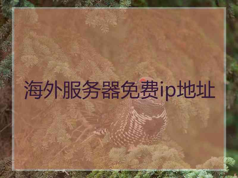 海外服务器免费ip地址