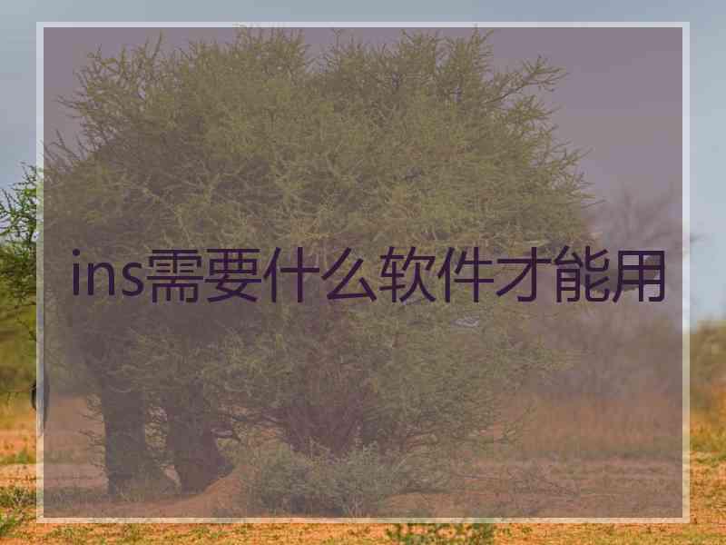 ins需要什么软件才能用