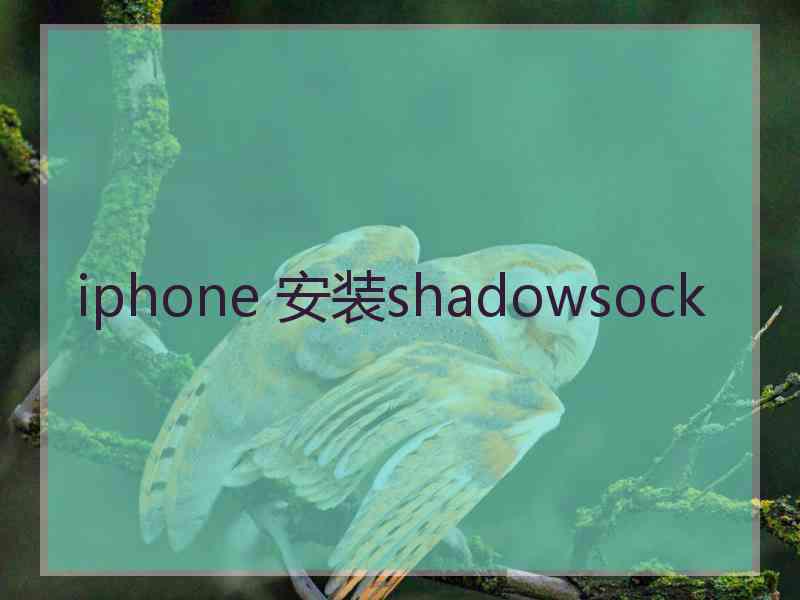 iphone 安装shadowsock