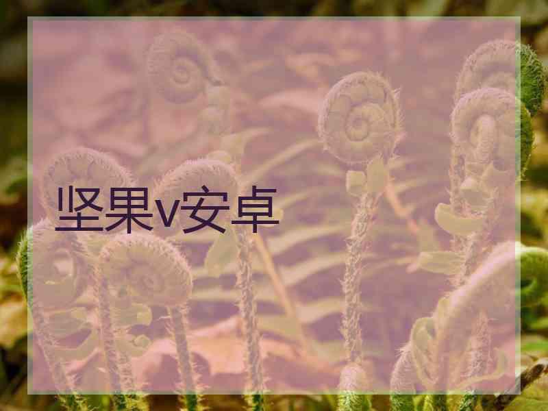 坚果v安卓