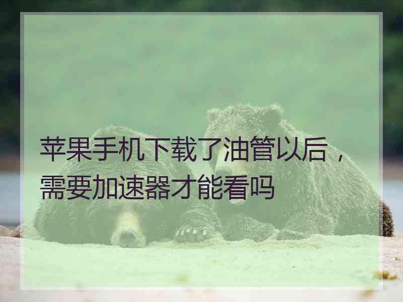 苹果手机下载了油管以后，需要加速器才能看吗