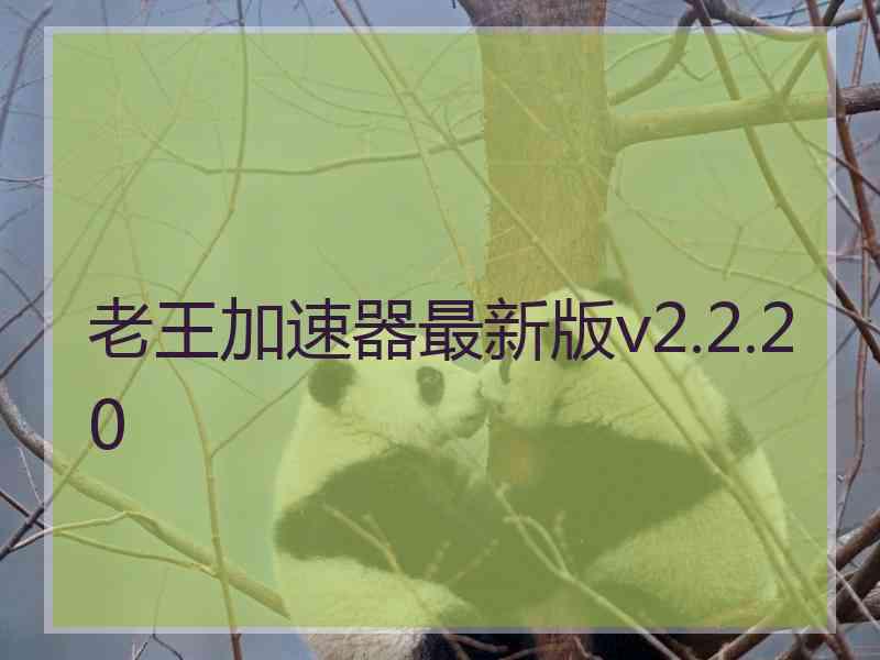 老王加速器最新版v2.2.20