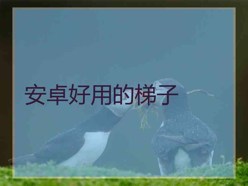 安卓好用的梯子