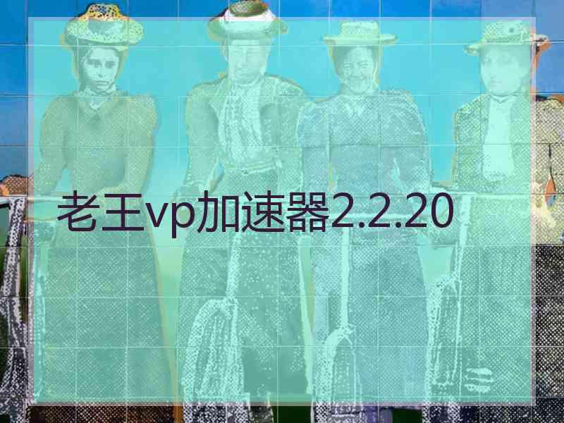 老王vp加速器2.2.20
