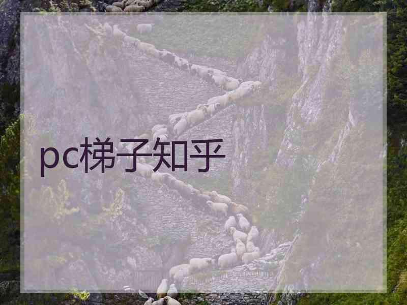 pc梯子知乎