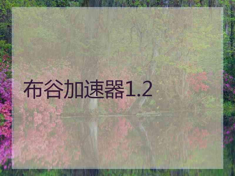 布谷加速器1.2