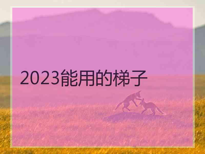 2023能用的梯子